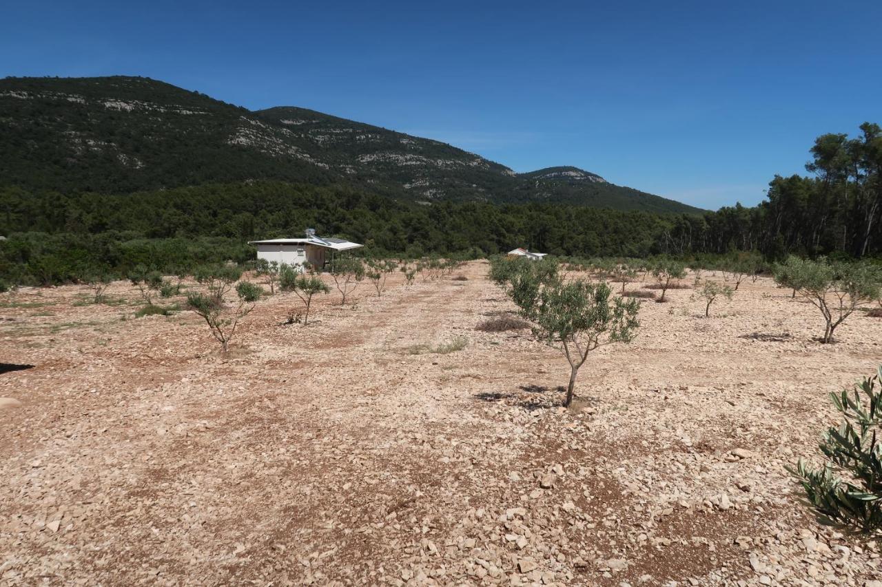 Robinson Olive Tree Huts Vila Čara Exterior foto